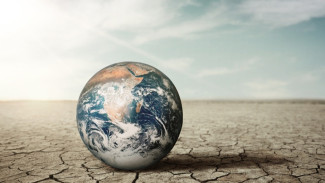 10 Cara Mengatasi Pemanasan Global: Dari Gaya Hidup hingga Aksi Nyata