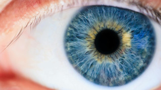 7 Tips Menjaga Kesehatan Mata: Menjaga Jendela Jiwa dari Ancaman Zaman Digital