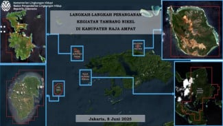 KLH/BPLH Temukan Pelanggaran Serius Empat Perusahaan Nikel Raja Ampat