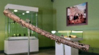 Seruling Tulang Purba Ribuan Tahun yang Menguak Tradisi Musik Awal Umat Manusia