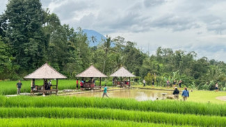 Sensasi Baru Wisata Edukasi di Bali: Nikmati Panorama Sawah dan Budaya Lewat Jalur Udara Helikopter