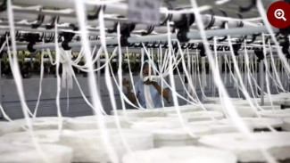 Kasus Korupsi Kredit Sritex, Negara Rugi Lebih dari Rp 1,08 Triliun dan Puluhan Pejabat Terjerat