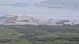 Peringatan Tsunami BMKG: Masyarakat Pesisir Harus Waspada dan Jauhi Pantai
