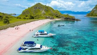 Dinobatkan Pantai Terindah Dunia 2025, Simak Fakta Menarik, Paket Wisata dan Tips Kunjungan ke Pink Beach Komodo