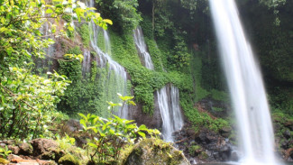 7 Wisata Alam di Jakarta, Cocok Jadi Pelarian Akhir Pekan dari Hiruk Pikuk Kota