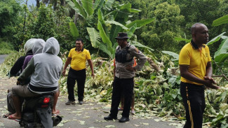 Akses Jalan Terhambat Pohon Tumbang, Anggota Polsek Mauponggo Sigap Bertindak