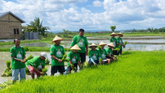 Saat Hijau PKB Menyatu dengan Petani Benih Padi di NTT