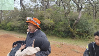 Pendaki Wanita Hilang di Gunung Mutis NTT Ditemukan Selamat, Terungkap Masuk Tanpa Izin