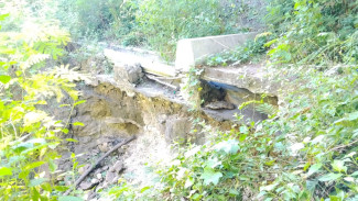 207 Petani Manggarai Timur Terancam Gagal Panen Akibat Longsor Rusak Irigasi Buntal