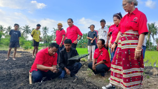PDIP Perkuat Ketahanan Pangan, Gagasan Megawati Hidup di Kebun Petani Gen Z Nagekeo