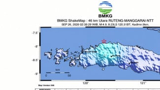 Manggarai Diguncang Gempa M4,9 Dini Hari, Bagian dari Rangkaian 18 Ribu Gempa Susulan M7,7 Flores