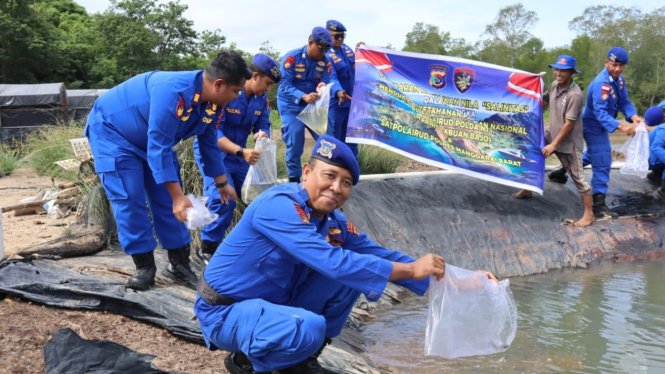 Kasat Polairud Polres Mabar, AKP Dimas Yusuf Fadhillah Rahmanto melepas benih ikan nila di Labuan Bajo