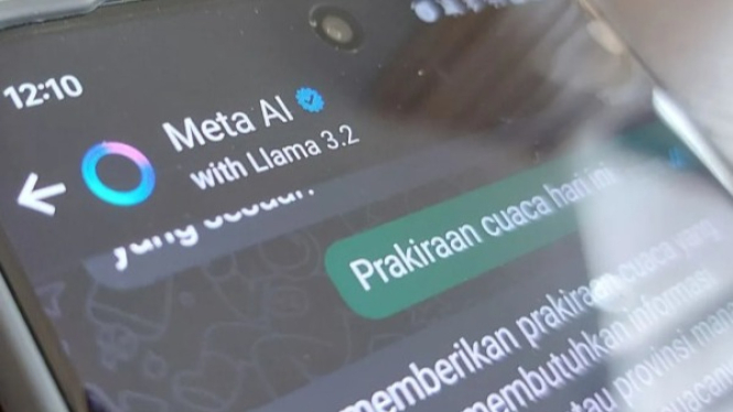 Meta AI dengan Llama 3.2