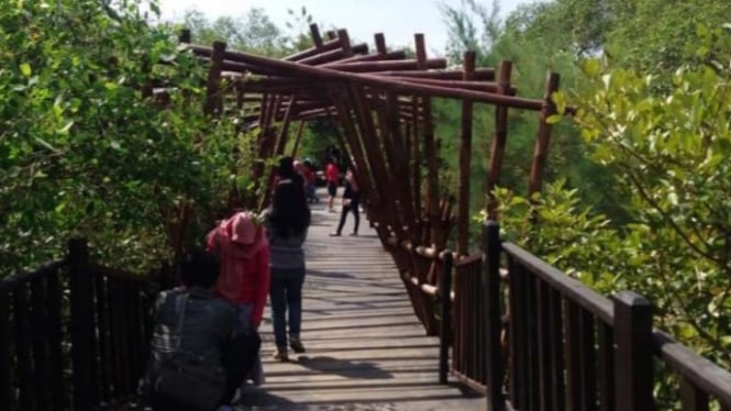 wisata Hutan Mangrove Wonorejo, surabaya