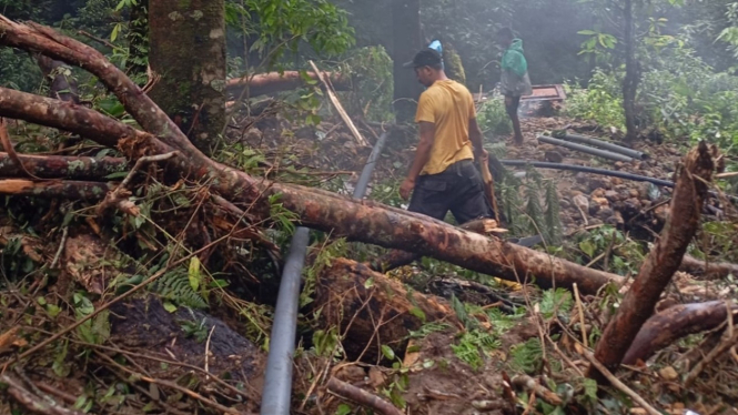 Pipa air minum Tirta Komodo ditimpa pohon tumbang