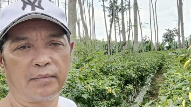 Sudarno Ketua PLMDH Adil Sejahtera Desa Manggis - Puncu