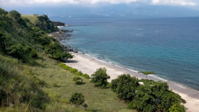 Savana Mausui di Manggarai Timur-NTT