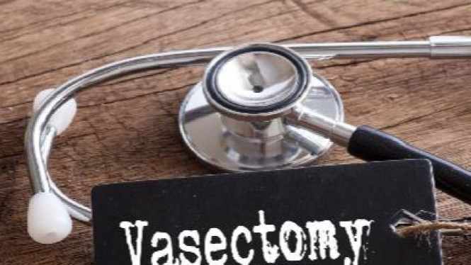 Vasektomi