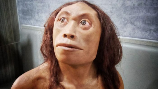 Figur Homo floresiensis, yang populer dijuluki Mama Flo, tampil dalam pameran bertajuk Commemoration of the 20th Anniversary of Homo floresiensis Discovery.