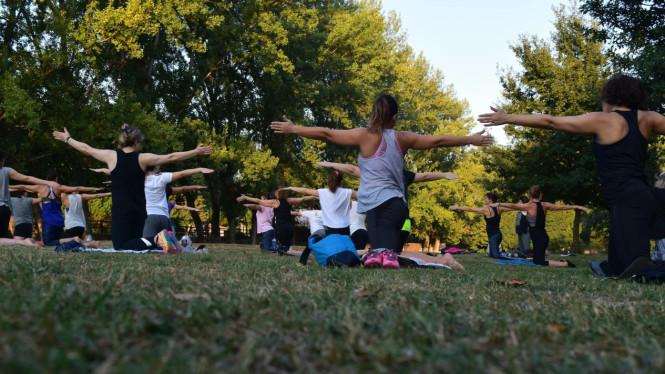 Wanita Melakukan Yoga Di Rumput Hijau Dekat Pohon.