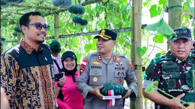 Penen raya hortikultura di demplot milik TNI di Ruteng.