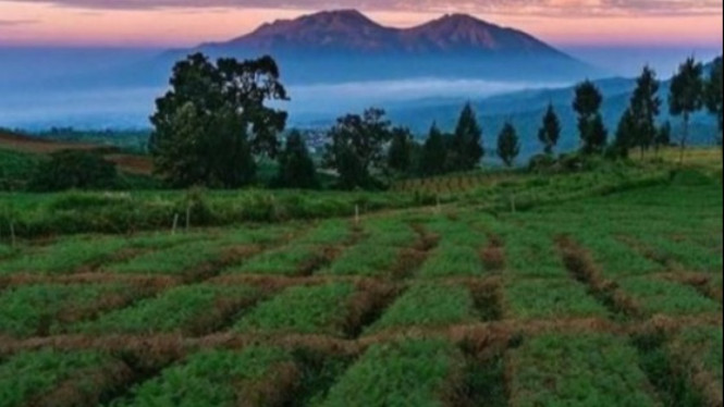Brakseng Batu