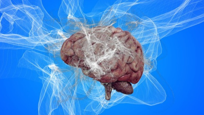 Italian Brainrot