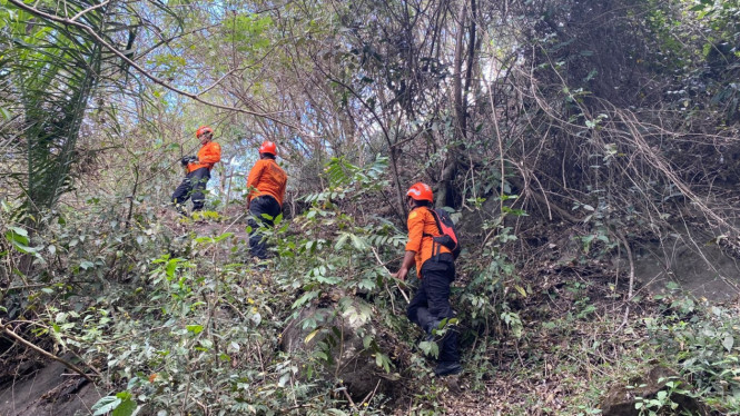 Tim SAR menyisir  perbukitan di kebun dan hutan Desa Wuliwutik mencari nenek Tomasine Bura (63) yanfg hilang pada 22 Juli 2025.