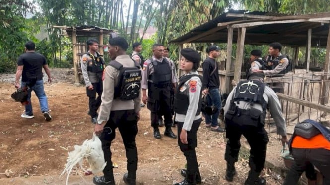 Jajaran Polres Manggarai gerebeg judi ayam di Rowang