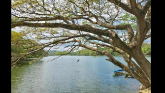Kulineran Sambil Menikmati Keindahan Alam di Waduk Tempuran