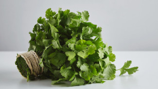 3 Manfaat Daun Ketumbar Untuk Kesehatan, Menurut Ahli Gizi