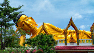 Wat Sri Sunthon (Wat Lipon), Kuil Buddha di Thalang Phuket