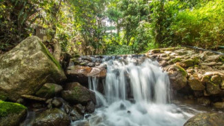 Air Terjun Kathu di Phuket, Air Terjun Dengan Nuansa Alami dan Sejuk