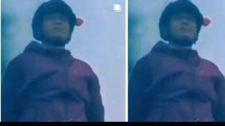 Smoke Bomb di Puncak Gunung Gede, Semua Demi Konten?