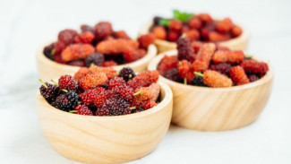15 Manfaat Murbei Bagi Kesehatan, Buah Kaya Nutrisi Penangkal Kanker