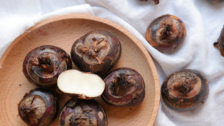 Mengenal Kastanye Air dan Kandungan Nilai Gizinya