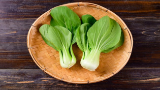 Manfaat Bok Choy Bagi Kesehatan : Semua yang Perlu Kamu Ketahui!