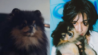 Kocak! V BTS Mengaku Peran Yeontan di MV 'Rainy Days' Dimainkan Oleh Pemeran Pengganti