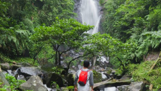 Curug Cikaracak Bogor, Tempat Asik Menguji Adrenalin