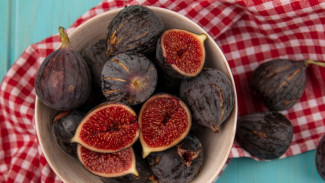 Mengenal Buah Tin Lengkap Dengan Nutrisi dan Jenis Buah Tin