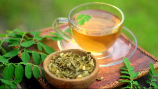 Apa Itu Teh Daun Kelor?