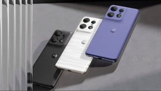 Article