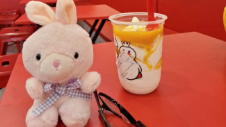 Menikmati Es Krim Mixue Dengan Berbagai Varian, Es Krim Yummy yang Terjangkau