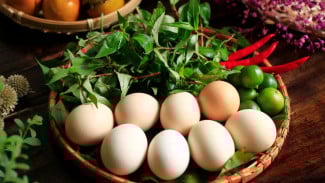 6 Makanan yang Membantu Mengobati Tekanan Darah Rendah