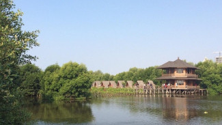 5 Wisata Alam di Jakarta yang Wajib Dikunjungi Akhir Pekan