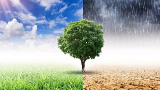 7 Tips Menjaga Imun Tubuh saat Musim Pancaroba