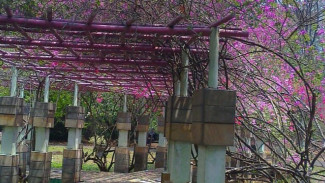 5 Destinasi Wisata di Pasuruan untuk Dikunjungi Selama Liburan