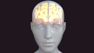 7 Kebiasaan Sehari-Hari yang Tanpa Disadari Bisa Merusak Fungsi Otak, Waspada!