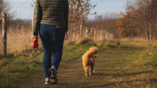 Berikut Ini Adalah Manfaat Jalan Kaki, Apa Saja?