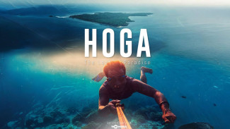 Pulau Hoga: Menyepi ke Surga Biru Wakatobi, Destinasi Anti-Mainstream untuk Mencari Ketenangan